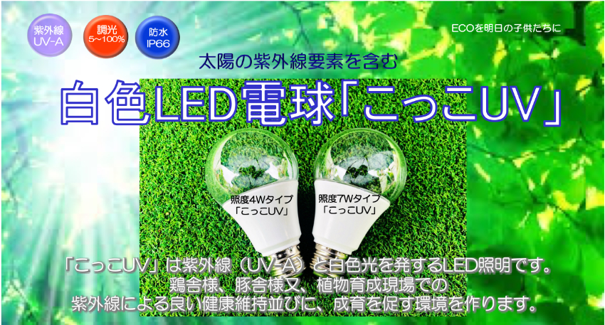 �{�{�����LED�u�������v
