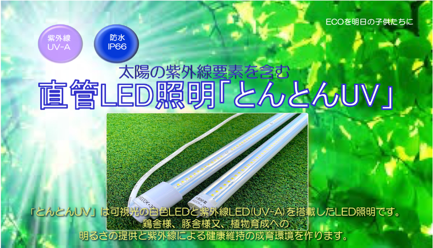 �؎ɗl����LED