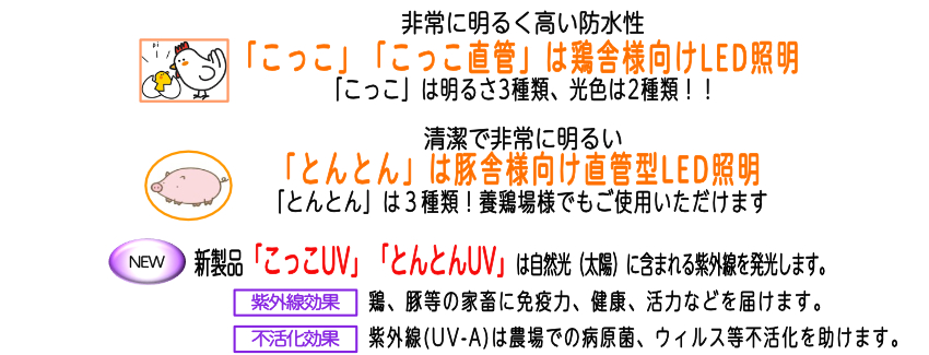 �{�{�����LED�u�������v