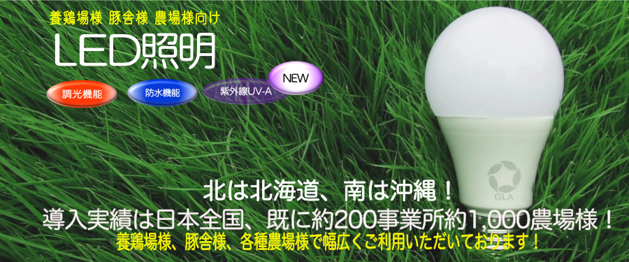 LED�d��������